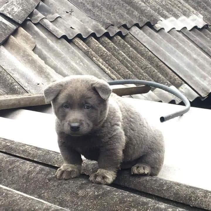 icon-business-default