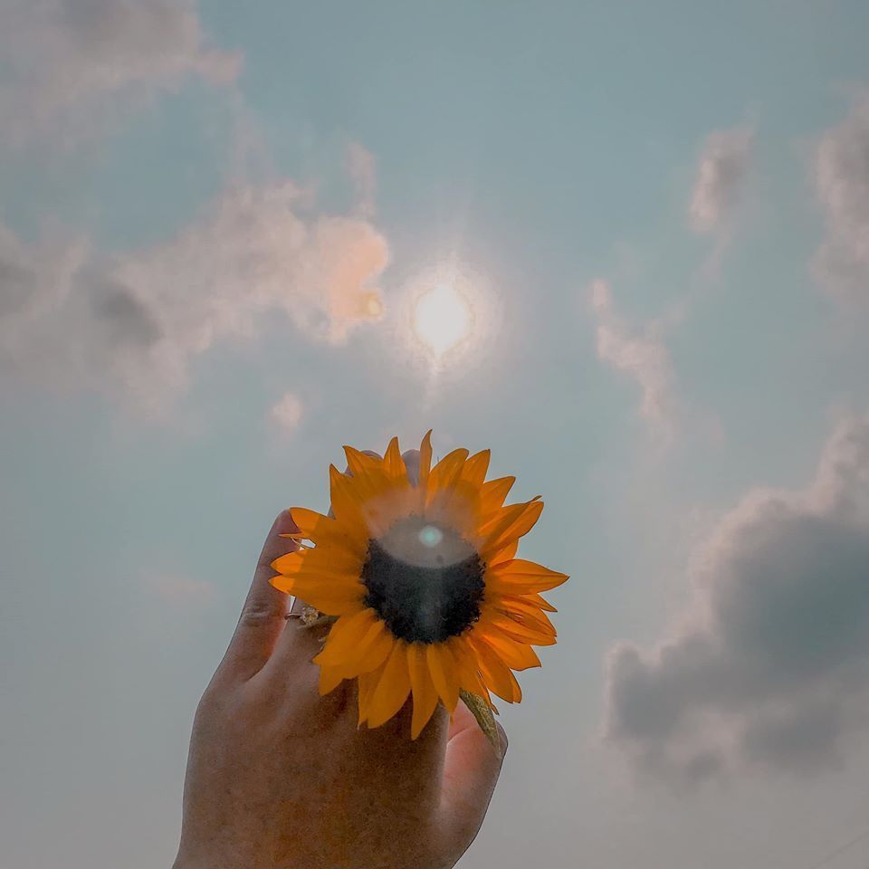 test câp nhật sản phẩm 15